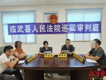 巡回法庭进村头——临武法院楚江法庭一次“家门口”的调解纪实