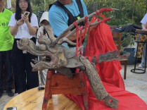 130 年清代龙头亮相！北塔区举行龙头祭祀仪式备战龙舟赛