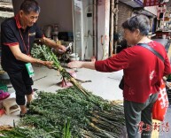 青青艾草、幽幽粽香……衡阳农贸市场里这抹“端午绿”，卖得太火了