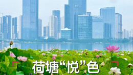 6月18日读报｜诗意在绽放！长沙“夏日赏荷地图”来了