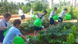衡南县三塘联合学校雁西小学开展幼小衔接体验活动