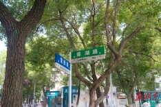 谁说老城不city？这个端午假期，来石鼓区莲湖片区“粽”享欢乐时光