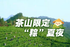 湘茶旅图① | 茶山限定“粽”夏夜