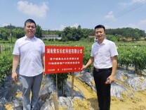 取经先进产业模式 赋能乡村振兴发展——邵阳工业职院驻村工作队学习特色辣椒标准化种植经验