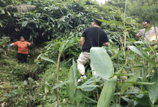 桂东清泉：调解搬进粽叶林 田间巧破地界结