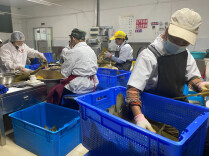 茶香裹粽香 品牌拓山乡——“郴品郴味” 带动桂东特色农品走俏端午市场