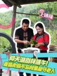 仰天湖上有个端午直播间~