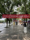 守护诚信底色 共建信用家园——状元洲街道开展“6·14信用记录关爱日”主题宣传活动