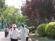 高考志愿怎么填？6月26日起，来这场官方咨询会与200+高校招生官面对面