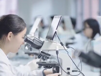 网传“职业本科无法考研”说法属实吗？专家解读