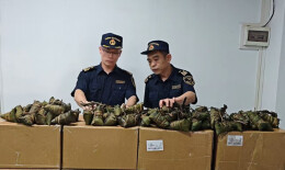 1.6吨走私粽子被查获