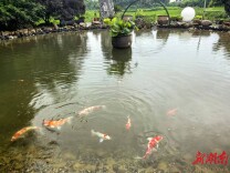 在极致里锚定平衡