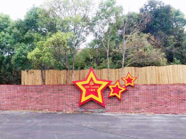 湘赣边陲的“苔花”奇迹：一个小镇的“四色”蝶变密码
