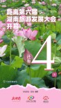还有4天！第六届湖南旅游发展大会即将开幕