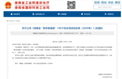 省级标志性项目名单发布！娄底7个项目入选