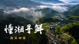 懂湘寻鲜