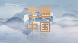 《走遍中国》镜头下的桃江全竹宴：独此一味 百变竹肴