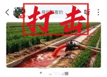 全力护航“三夏”生产——网警依法查处编造传播涉农网络谣言案