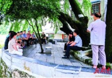 从“树下说事”到“局长进站”——桂阳“代表有约”约出基层善治新气象