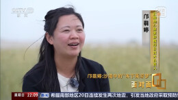 黄沙生绿浪 她用种子解锁盐碱地新希望