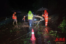 溆浦县公路建设养护中心：雨夜突遇树木倒伏阻断公路  公路人连夜抢险保畅通