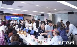 China-Africa Business Matchmaking Event Held in Changsha