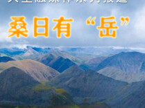 桑日有“岳”丨 岳阳援藏助力 桑日县中心医院完成首例分段诊刮术