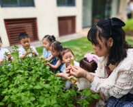怀化市鹤城区第二幼儿园：萌娃巧制薄荷艾草膏 体悟自然奥秘