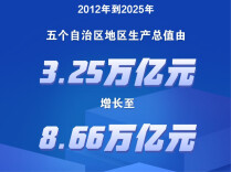 2025年五个自治区地区生产总值达8.66万亿元