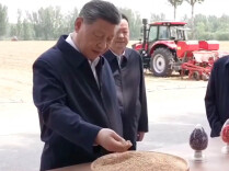 近镜头｜总书记手中这把麦粒凝聚同心奋斗