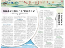 踏遍莲城沃野间，“丰”景这边独好@湖南日报
