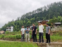 龙山：桂塘镇田间地头监督忙