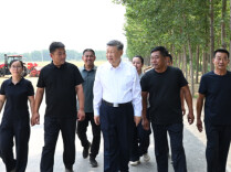 近镜头｜总书记心系“中国饭碗”