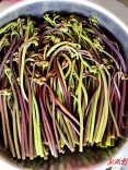 岁月中的野菜