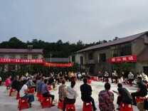 慈利县南山坪乡党群服务中心：巾帼聚力“梁”山秀 党旗映红振兴路