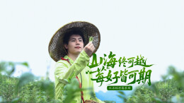 莓茶园PK赛②丨尹家溪镇红石林村莓茶园：山海终可越，“莓”好皆可期