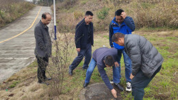 帮产业“挂上号”——凤凰“点单式”科技服务助推产业高质量发展