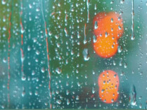 今日科普｜为什么下雨天的空气特别好闻？