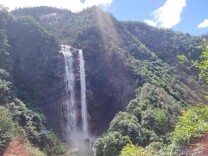 桂东：书香润山水 悦读遇溪涧