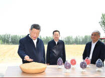 近镜头丨一茬接着一茬干 创造更加美好生活