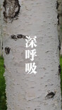 5万个负氧离子、5021公顷林海，这里把夏天“调”到舒适档丨20℃龙江，老湘报到④