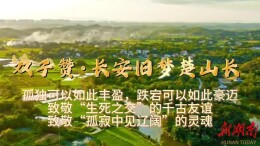 MV｜双子赞·长安旧梦楚山长：洞庭月潇湘霜，一蓑风雪一鹤秋光，知己万古，风骨未央！