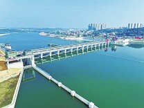 何首乌丨湘江副刊·湘韵