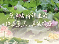 周末·闲读丨原来古诗词里的绝美夏天，真的存在