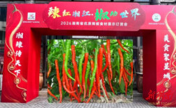 文化为魂 食材为基