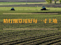 学习手记｜精打细算用好每一寸土地