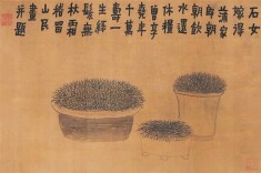 菖蒲画语丨湘江副刊·艺风