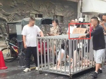 湘江论见丨写在摆拍“浸猪笼”博流量事件之后