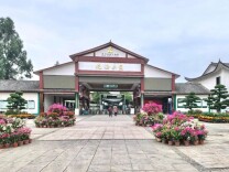 可看、可玩、可品、可购！“岳塘有好‘市’”热闹开市