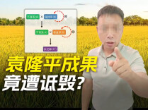 粉丝量超200万的网红诋毁袁隆平成果，账号被无限期封禁